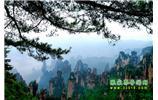 【純玩獨(dú)立成團(tuán)線路1】張家界、袁家界、天子山、寶峰湖/黃龍洞二晚三日