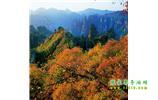 長沙往返張家界、天子山、寶峰湖/黃龍洞三日游