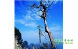 湘西之旅：張家界、天子山、寶峰湖/黃龍洞、鳳凰古城、猛洞河漂流、天門(mén)山六日游