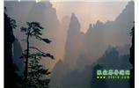 張家界國(guó)家森林公園、寶峰湖/黃龍洞、鳳凰古城、三峽八日游