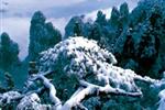 【純玩散拼線(xiàn)路17】張家界、天子山、芙蓉鎮(zhèn)、猛洞河漂流、鳳凰古城三晚四日游