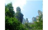 【純玩拼團線路 張家界出發(fā)A2線】張家界、袁家界、天子山、金鞭溪、鳳凰古城2晚3日游